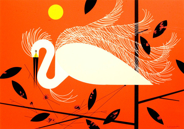 El Oftalmólogo Curioso CHARLEY HARPER