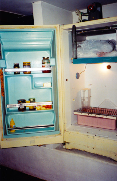 fridge-tt3-35nov02